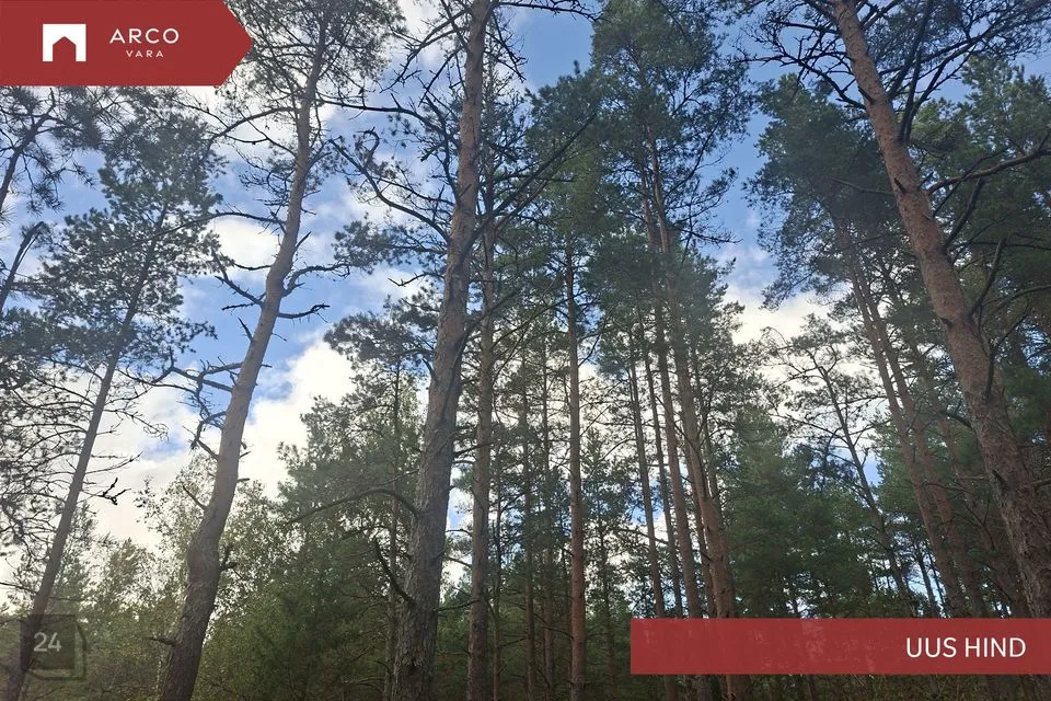 Maatulundusmaa, 136296 m² участок в Saaremaa vald, Ööriku küla - фото 3
