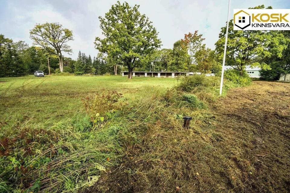 Ärimaa või Elamumaa, 11369 m² Maa  -  Tori vald, Jõesuu küla - foto 4