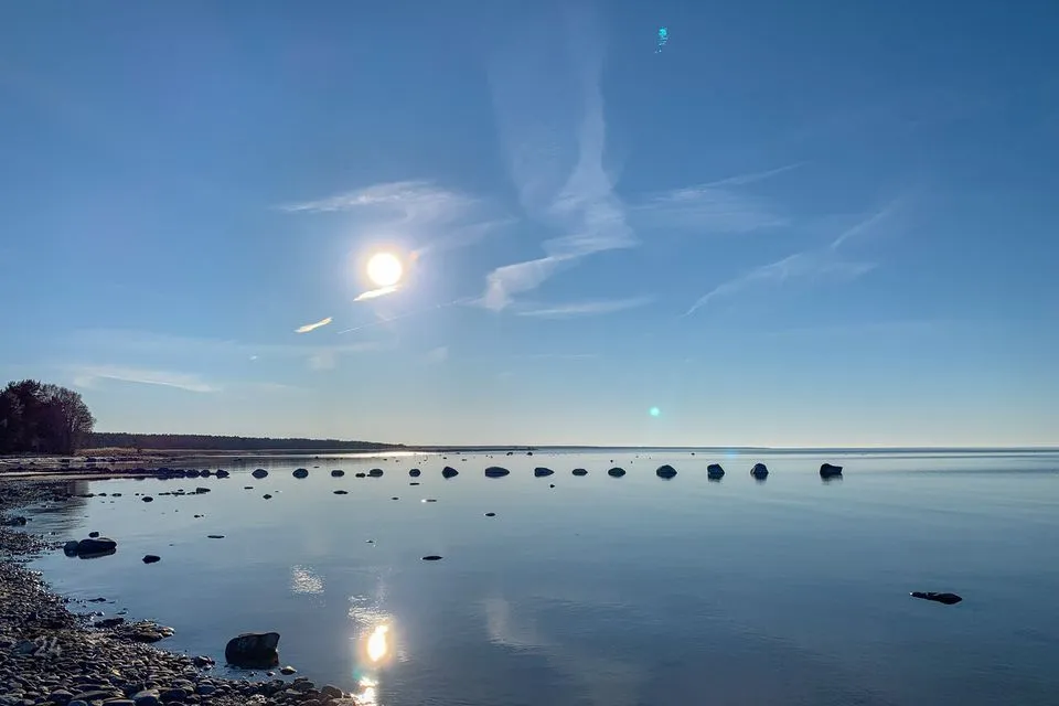Mitme sihtotstarbega, 38800 m² Äripind  -  Lääne-Harju vald, Kurkse küla - foto 2