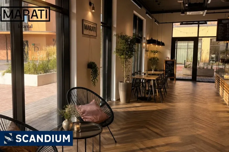 65 m² Бизнес-площадь в Tallinn, Põhja-Tallinna linnaosa