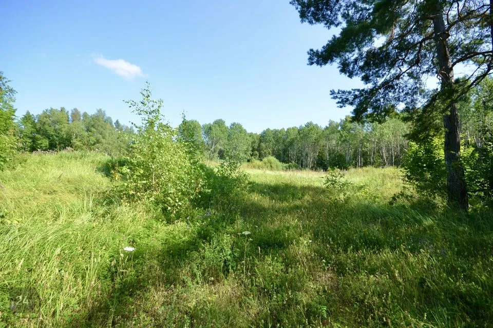 Elamumaa, 9482 m² Maa  -  Saaremaa vald, Roobaka küla - foto 5