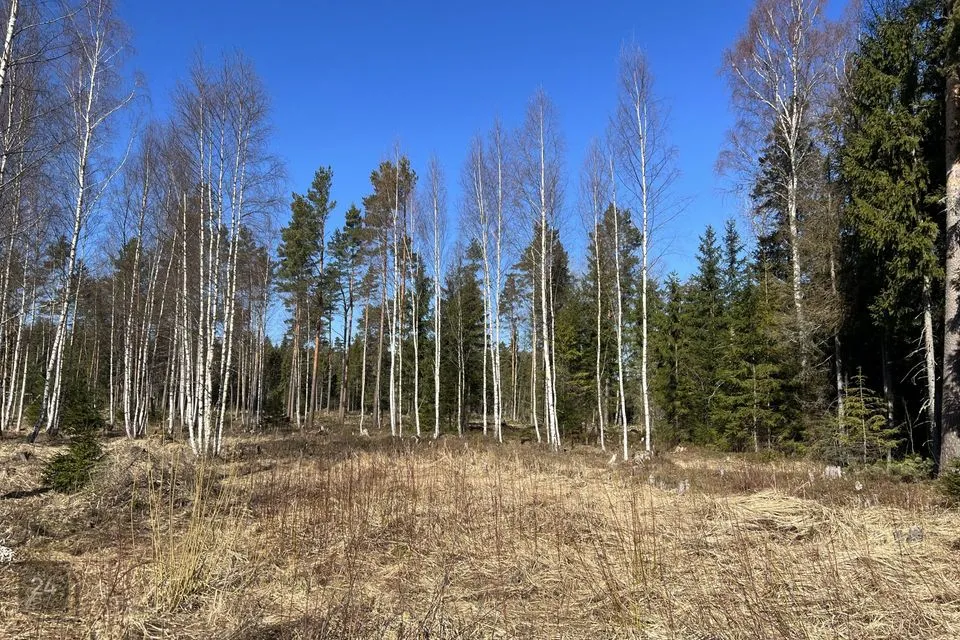 Земля жилой застройки, 2480 m² участок в Saku vald, Roobuka küla - фото 4