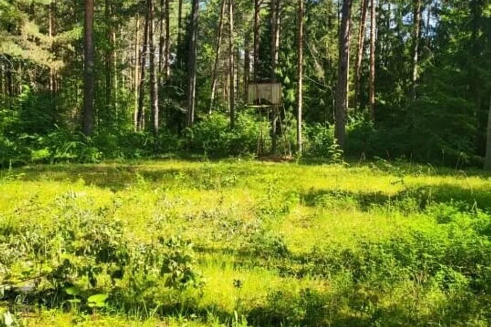 Riigikaitsemaa, 2020 m² Maa  -  Narva-Jõesuu linn, Narva-Jõesuu linn