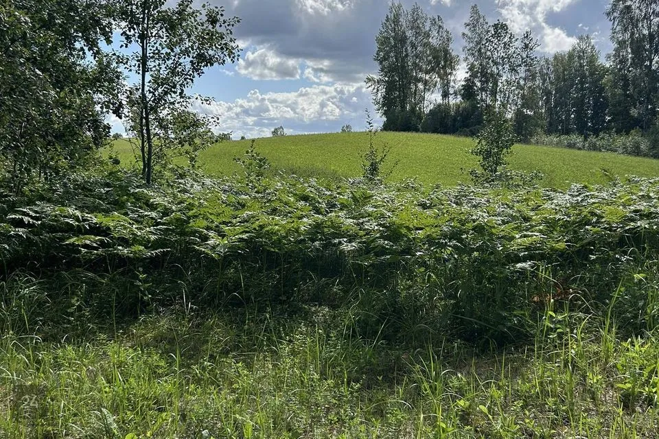 Maatulundusmaa, 23600 m² Maa  -  Otepää vald, Nõuni küla