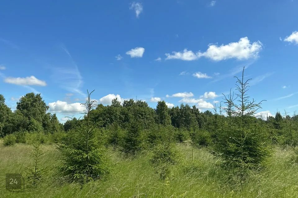 Maatulundusmaa, 23719 m² участок в Rakvere vald, Päide küla - фото 5