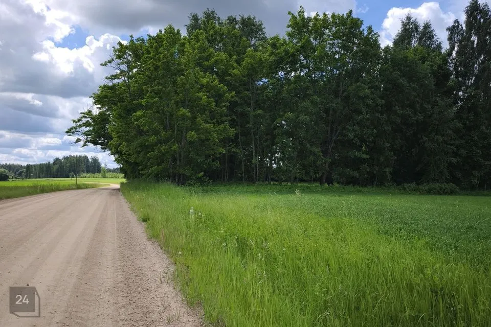 Maatulundusmaa, 3500 m² участок в Räpina vald, Väike-Veerksu küla - фото 2