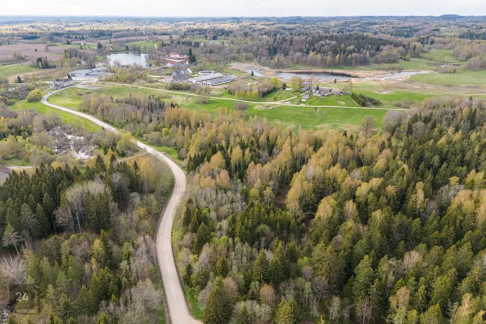 Cultivated land, 41200 m² land in Rõuge vald, Ruusmäe küla - photo 2
