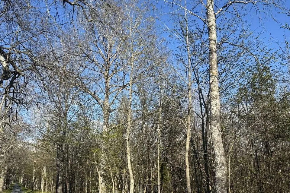 Maatulundusmaa, 10012 m² Maa - Saaremaa vald, Käesla küla - foto 4