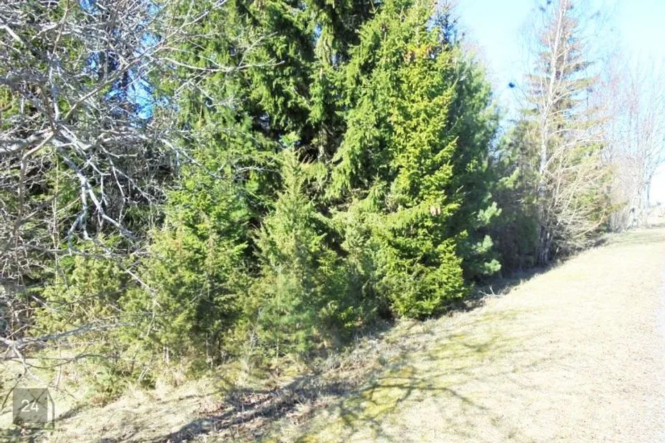 Elamumaa, 20020 m² Maa - Hiiumaa vald, Suuresadama küla