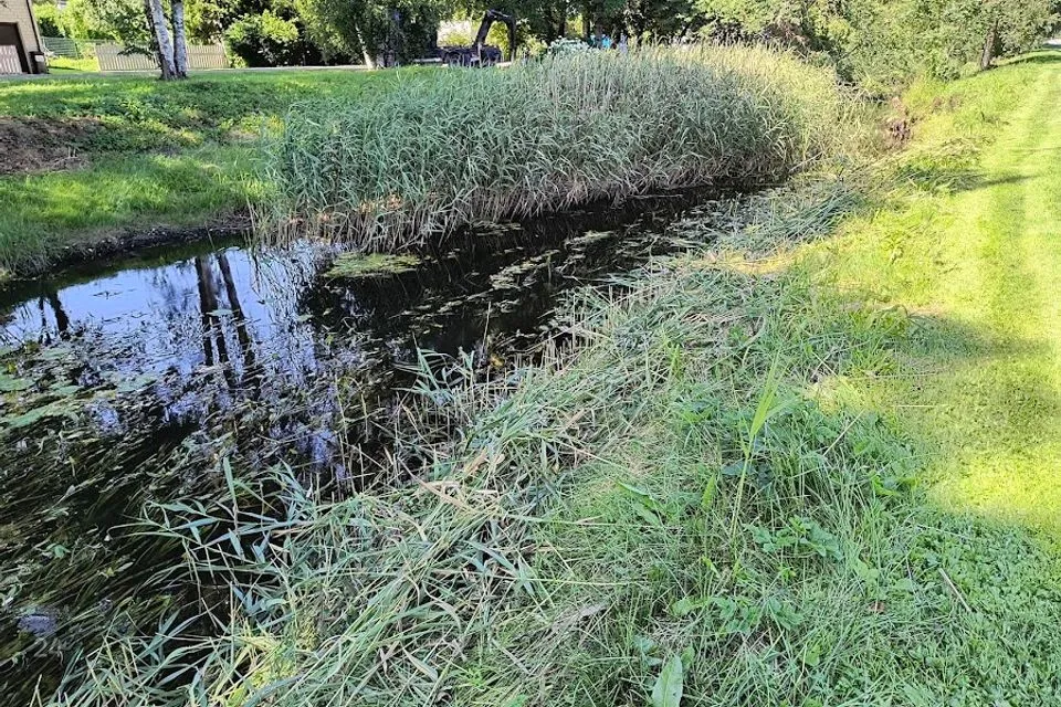 Elamumaa, 529 m² Maa - Saku vald, Saku alevik - foto 5