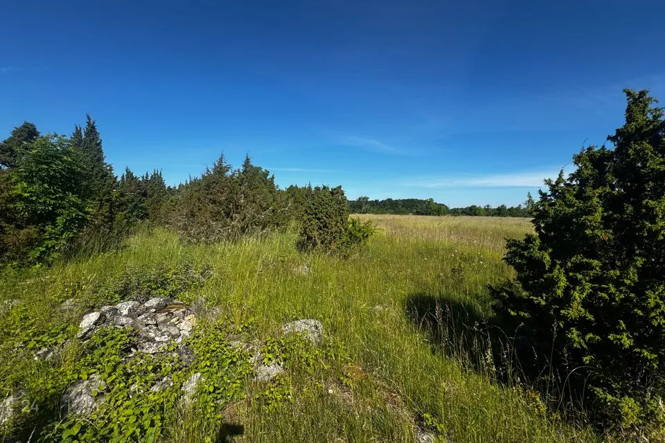 Elamumaa, 10522 m² Maa - Saaremaa vald, Suure-Rootsi küla - foto 4