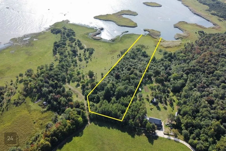 Maatulundusmaa, 16042 m² Maa - Saaremaa vald, Turja küla - foto 4