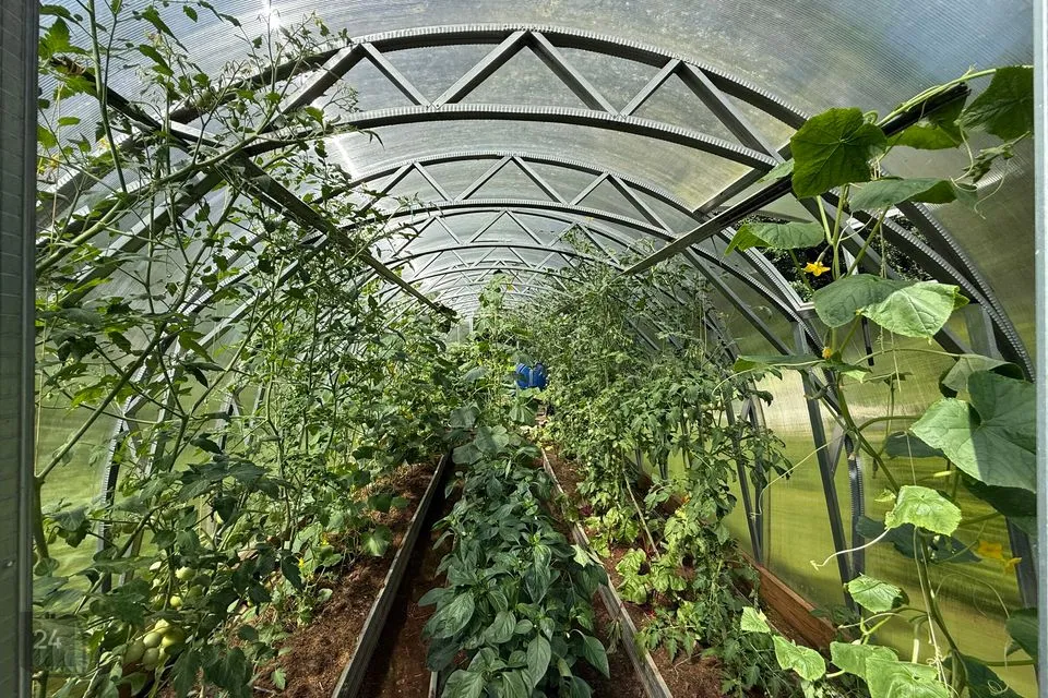 1-room Summer home in Narva linn - photo 4