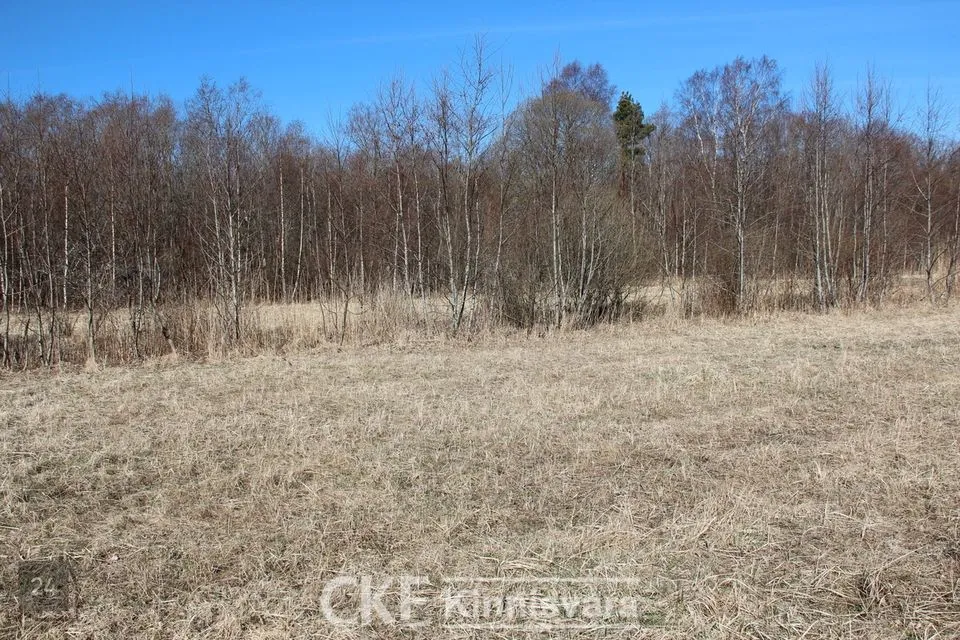 6624 m² участок в Saaremaa vald, Nasva alevik - фото 2