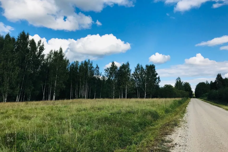 Maatulundusmaa, 37484 m² Maa  -  Türi vald, Rassi küla - foto 3