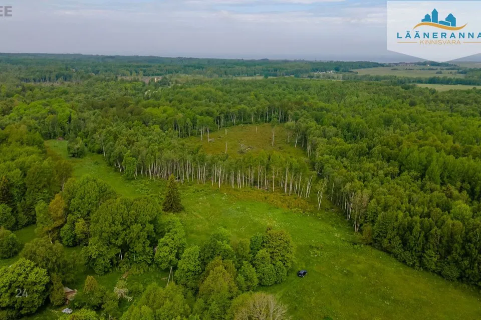 Maatulundusmaa, 43600 m² участок в Saaremaa vald, Väike-Ula küla - фото 4