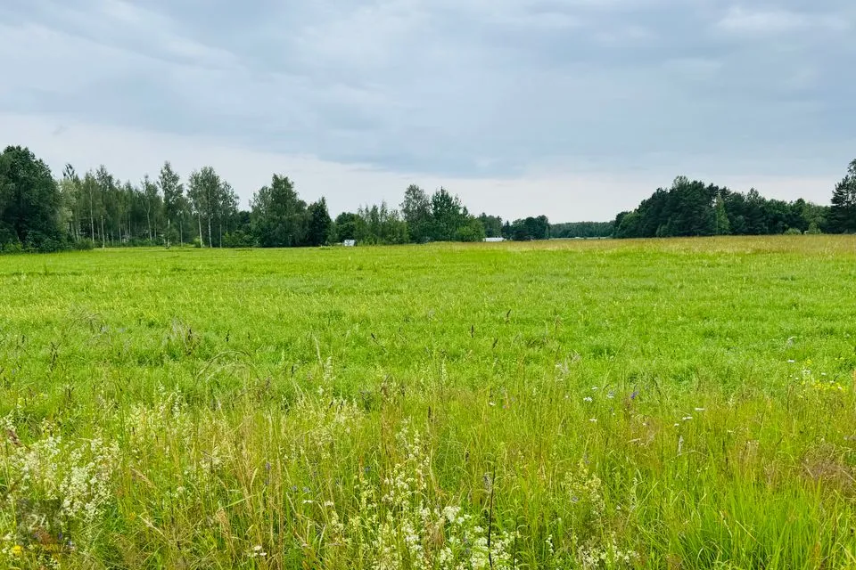Elamumaa, 3897 m² Maa - Häädemeeste vald, Laadi küla