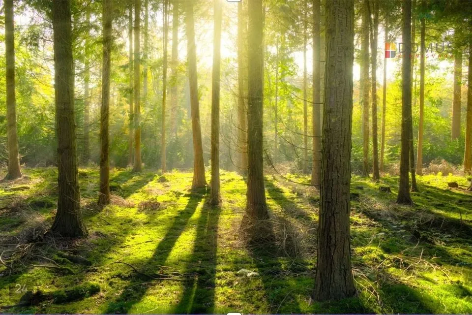 Elamumaa, 590 m² Maa  -  Tartu linn, Tartu linn