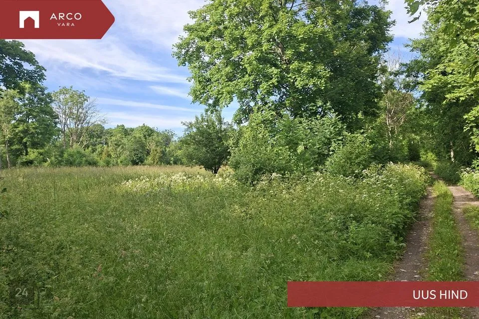 Maatulundusmaa, 28997 m² Maa  -  Muhu vald, Lehtmetsa küla - foto 3