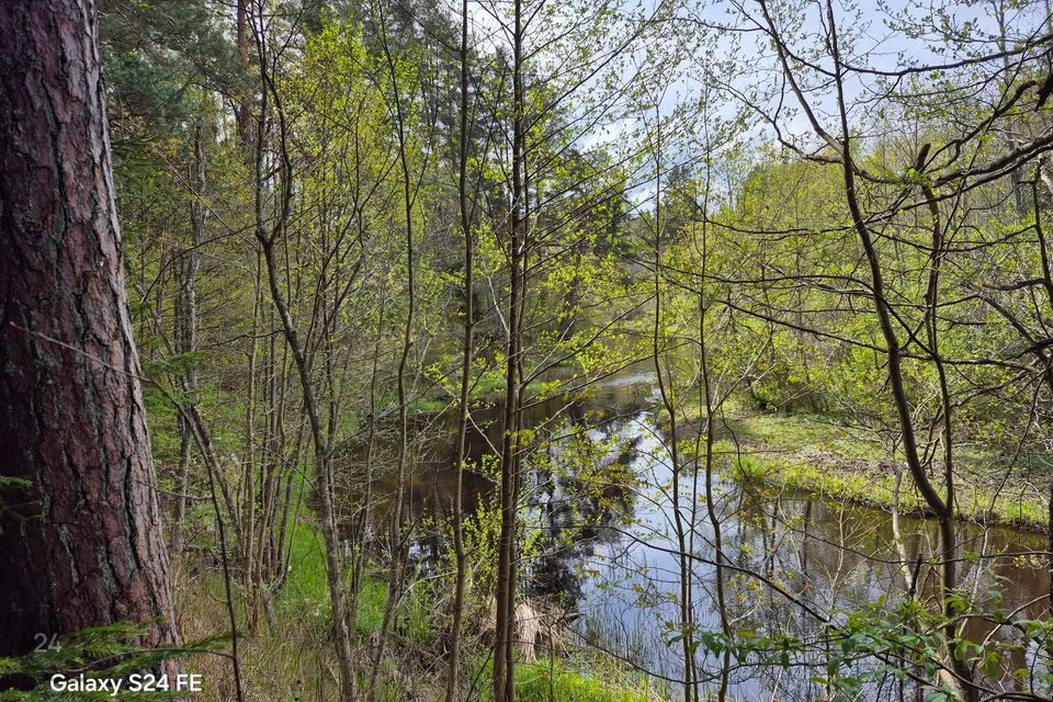 Maatulundusmaa, 33533 m² Maa  -  Mustvee vald, Separa küla