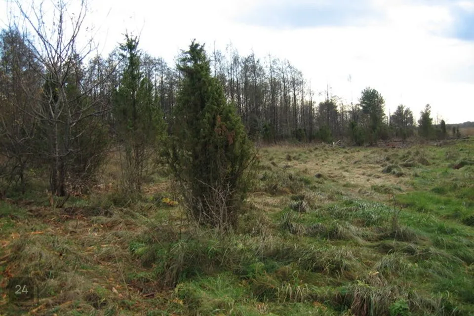 Elamumaa, 7588 m² Maa  -  Hiiumaa vald, Luguse küla - foto 5