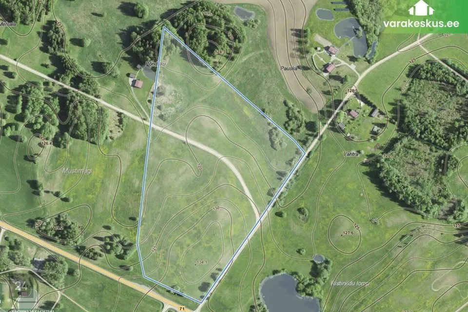 Maatulundusmaa, 100035 m² Maa - Otepää vald, Pedajamäe küla - foto 4