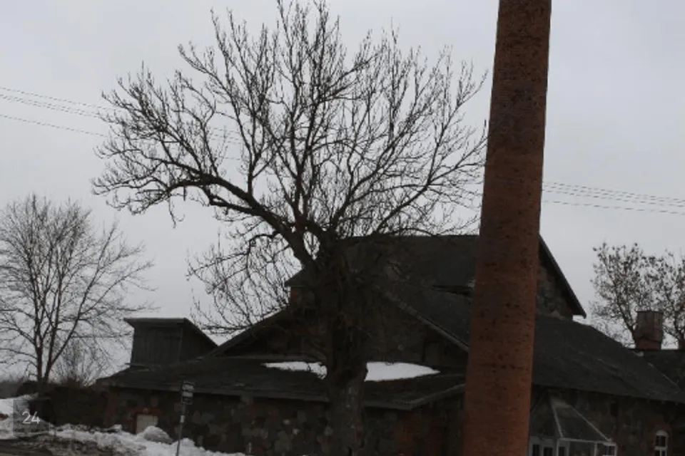 1-toaline Maja - Viru-Nigula vald, Selja küla