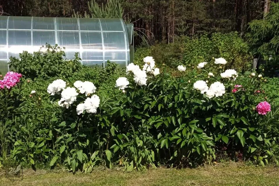 6-toaline Maja  -  Pärnu linn, Paikuse alev - foto 4