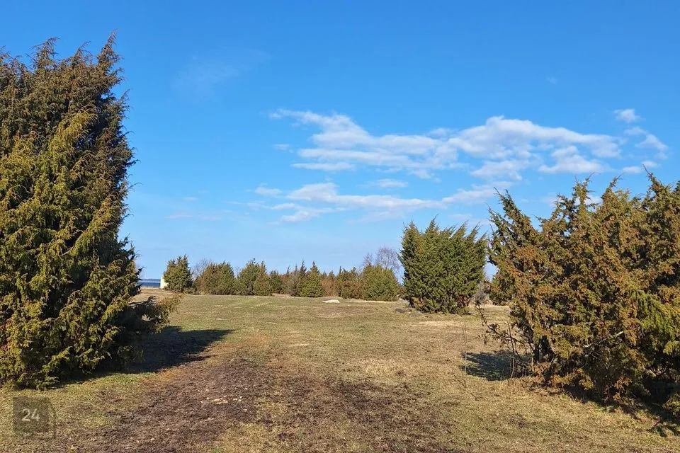 Maatulundusmaa, 166630 m² Maa  -  Lääne-Harju vald, Kurkse küla - foto 5