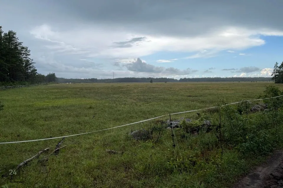 Maatulundusmaa, 21700 m² Maa - Muhu vald, Kuivastu küla - foto 3