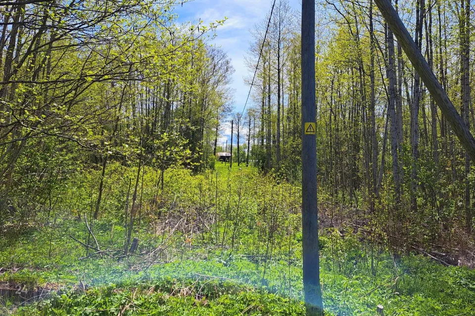 Земля жилой застройки, 4960 m² участок в Kuusalu vald, Suurpea küla - фото 3