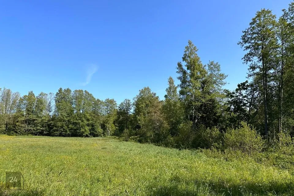 Maatulundusmaa, 9016 m² участок в Hiiumaa vald, Tammistu küla - фото 3