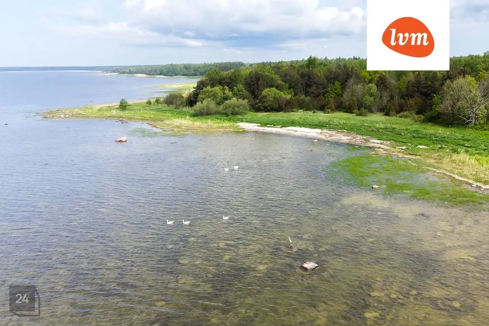 Cultivated land, 21801 m² land in Pärnu linn, Kastna küla - photo 2