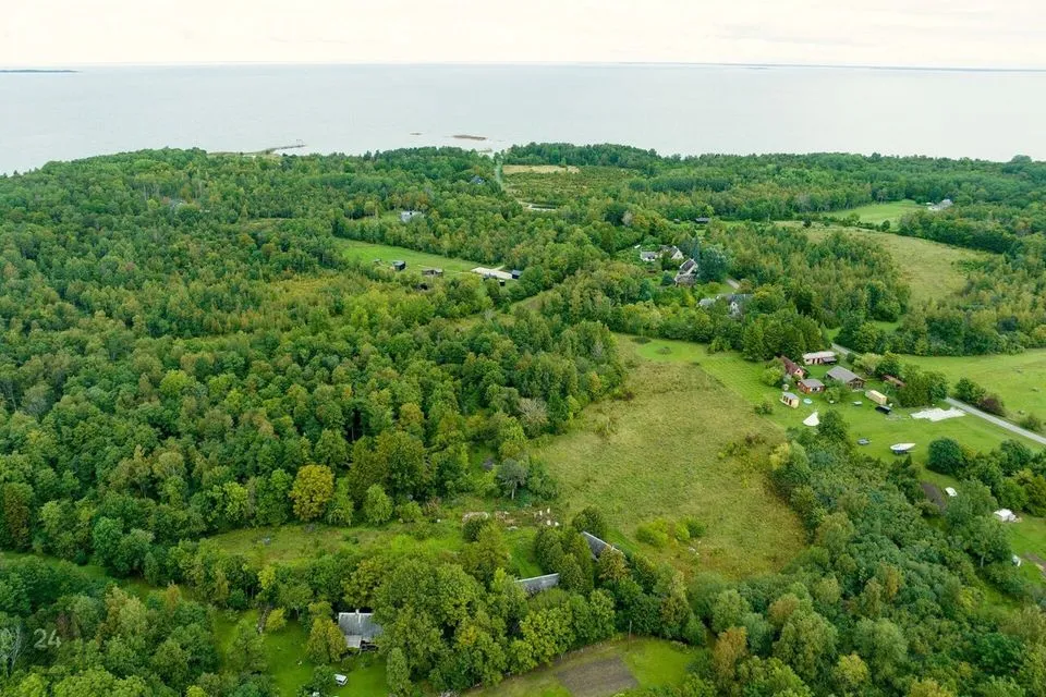 Maatulundusmaa, 20634 m² Maa  -  Muhu vald, Nõmmküla - foto 4