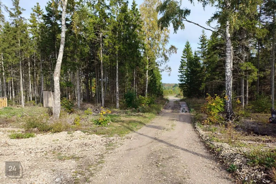 Maatulundusmaa, 16328 m² Maa  -  Hiiumaa vald, Paluküla - foto 5