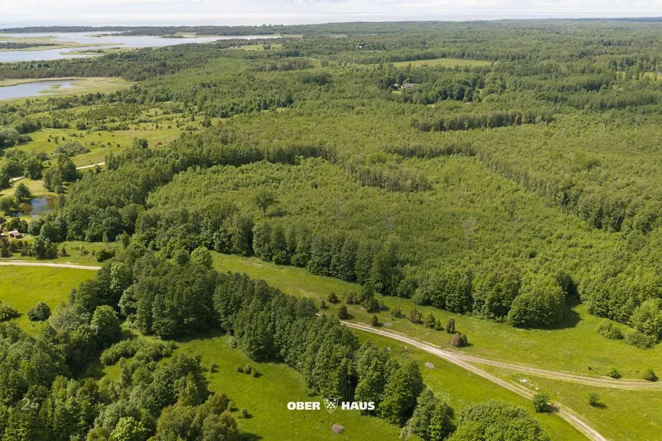 Maatulundusmaa, 15103 m² участок в Lääneranna vald, Raespa küla - фото 5