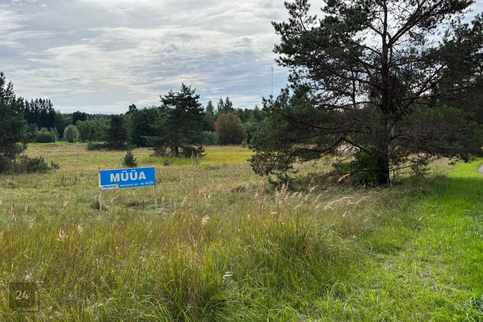 Maatulundusmaa, 6951 m² Maa  -  Türi vald, Kolu küla - foto 4