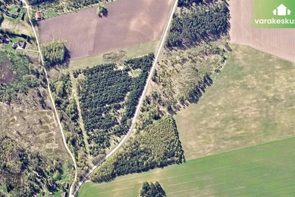 Maatulundusmaa, 43620 m² Maa - Kehtna vald, Kalbu küla - foto 4