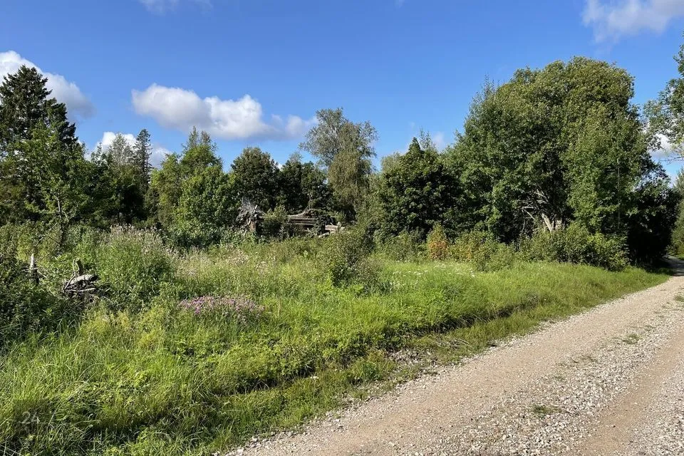 Elamumaa, 16022 m² Maa  -  Saaremaa vald, Linnuse küla - foto 2