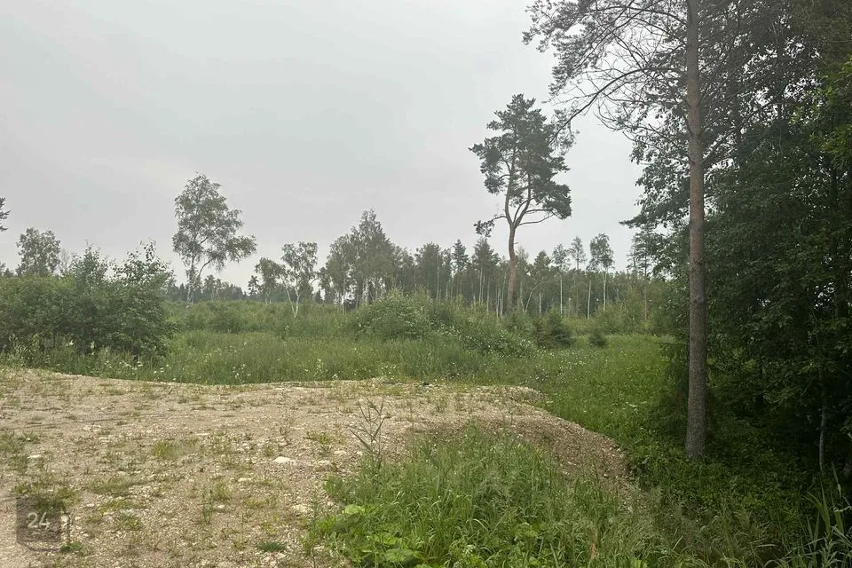 Elamumaa, 3867 m² Maa - Rapla vald, Tuti küla - foto 2