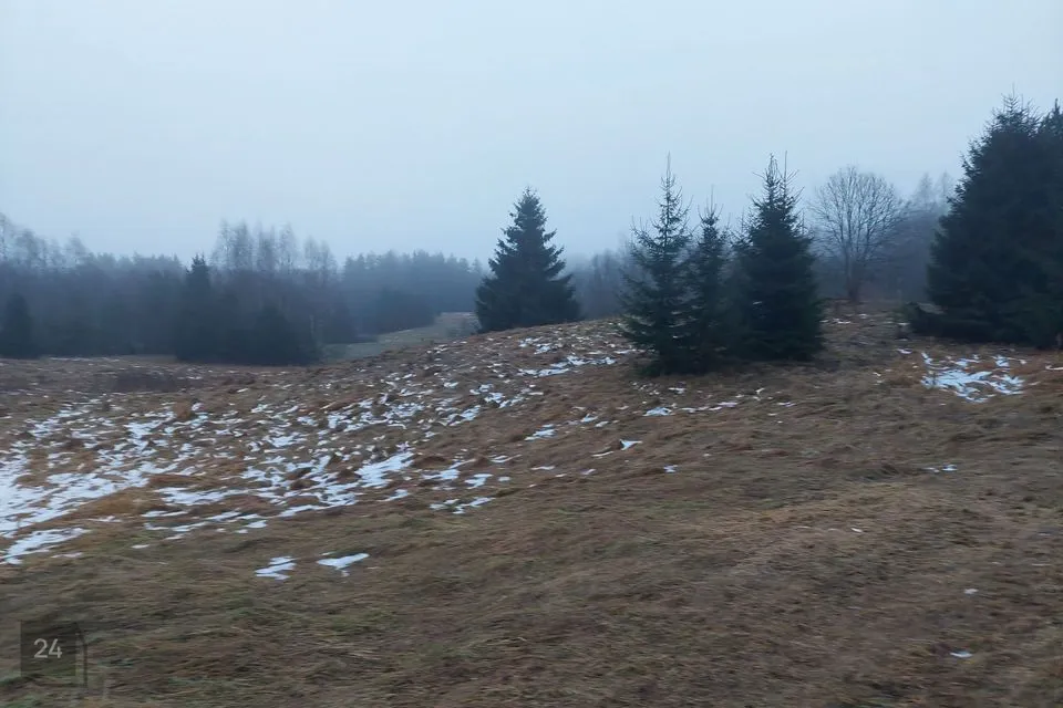 Residential land, 7130 m² land in Rõuge vald, Kaloga küla - photo 4