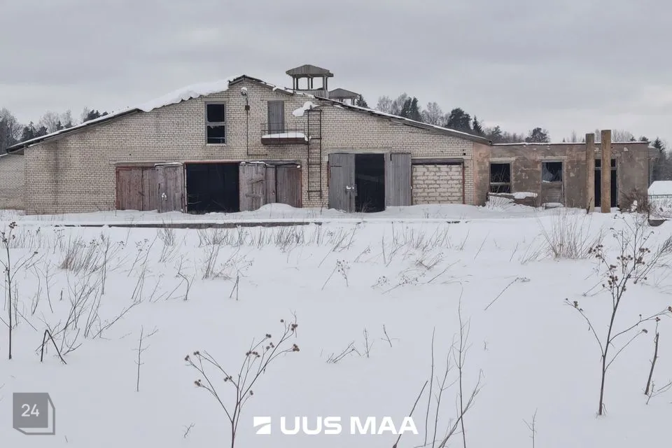 Земля производственного назначения, 21192 m² участок в Vinni vald, Aasuvälja küla - фото 2