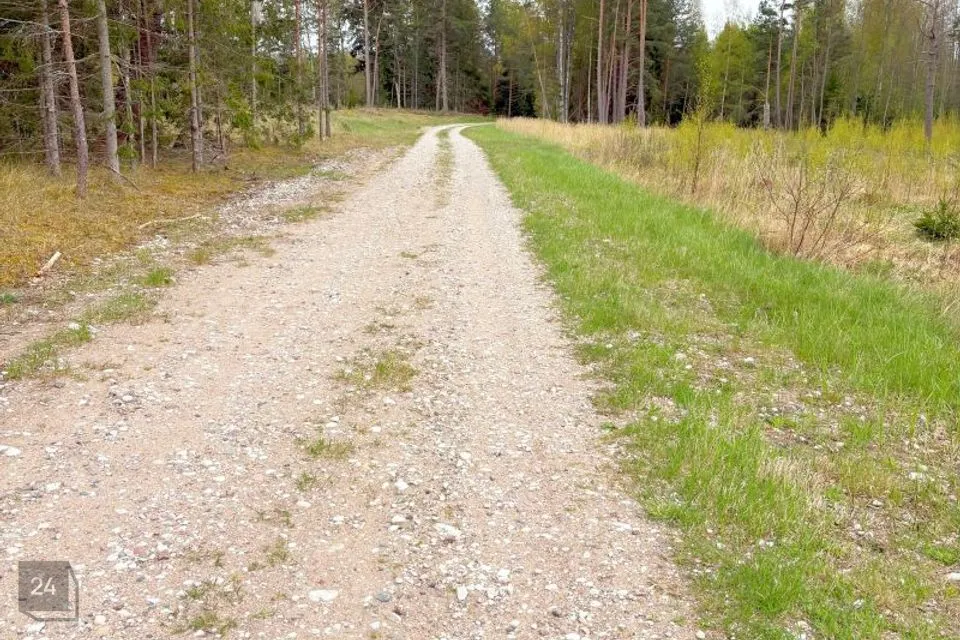 Maatulundusmaa, 60038 m² участок в Hiiumaa vald, Mänspe küla - фото 3