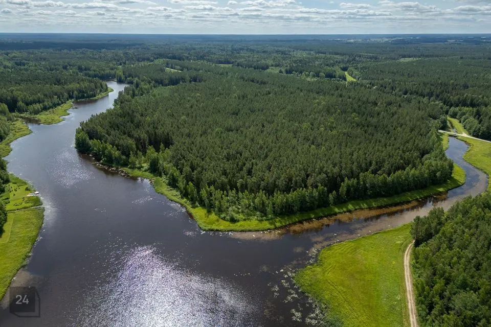 Elamumaa, 8832 m² Maa - Anija vald, Vikipalu küla