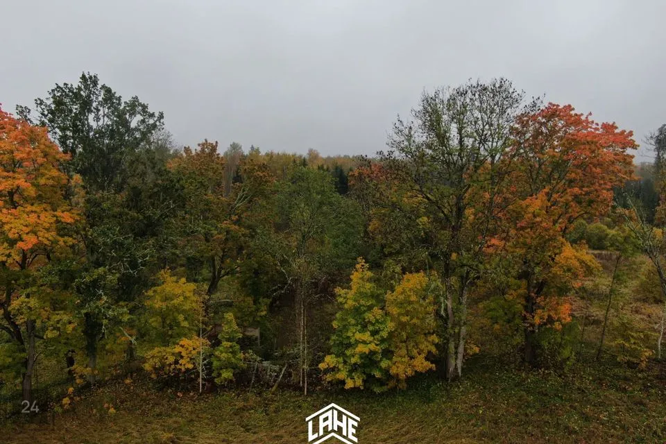 Maatulundusmaa, 25740 m² Maa - Kanepi vald, Maaritsa küla - foto 3