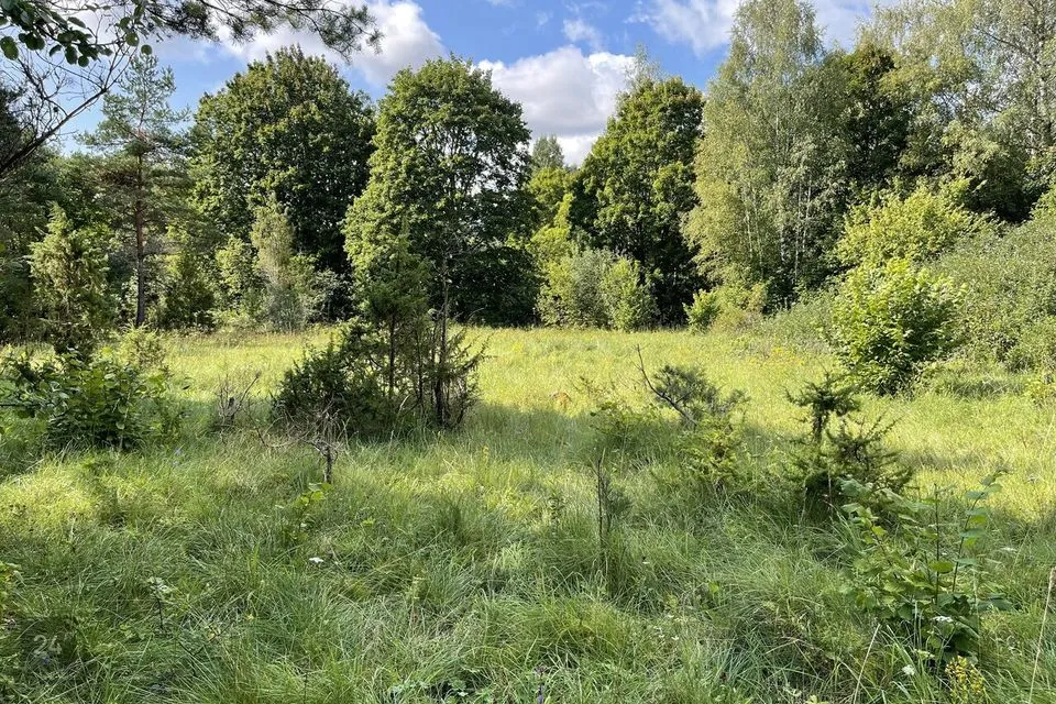 Maatulundusmaa, 25100 m² участок в Saaremaa vald, Vilidu küla - фото 4