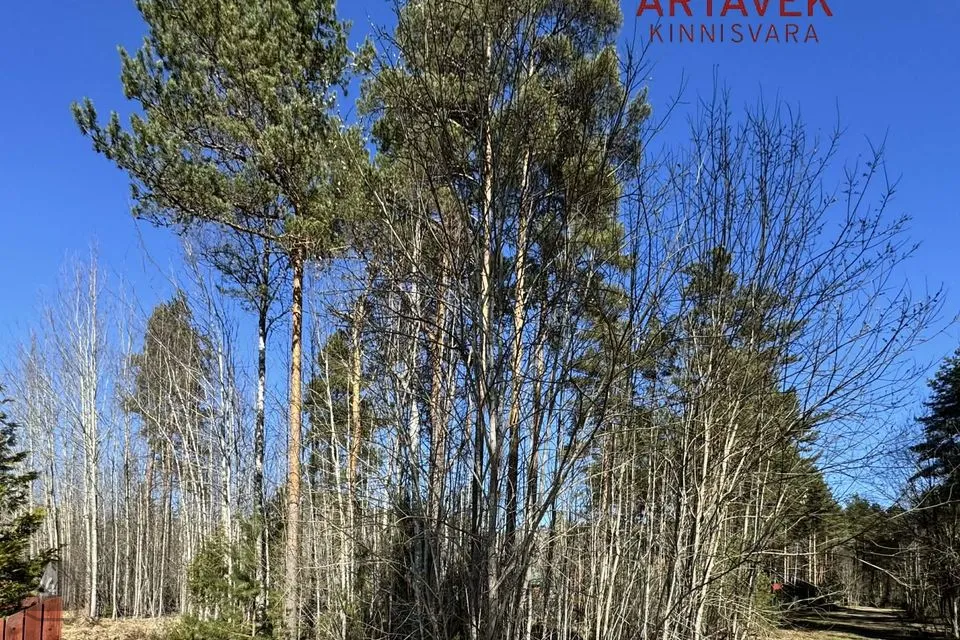 Земля жилой застройки, 1518 m² участок в Alutaguse vald, Alajõe küla - фото 3