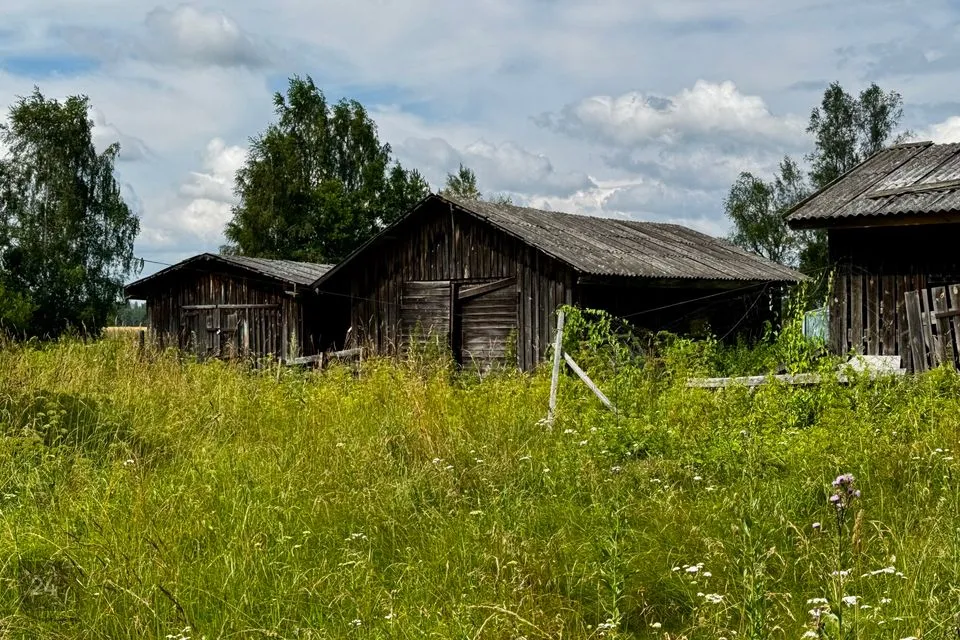 6-toaline Maja  -  Kastre vald, Võõpste küla - foto 4