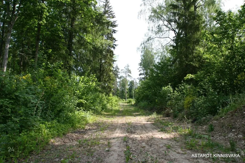 Elamumaa, 4002 m² Maa  -  Raasiku vald, Kalesi küla - foto 2