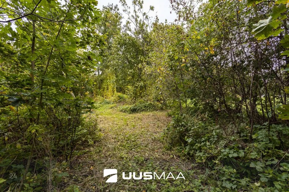 Maatulundusmaa, 6011 m² Maa - Lääne-Harju vald, Suurküla - foto 2